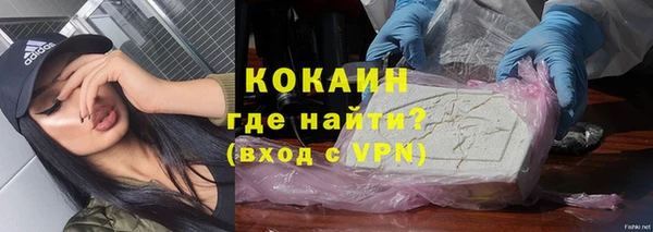 индика Дмитровск