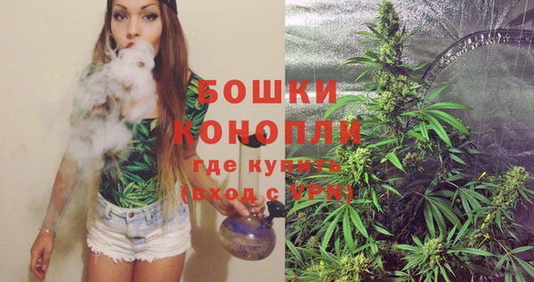 индика Дмитровск