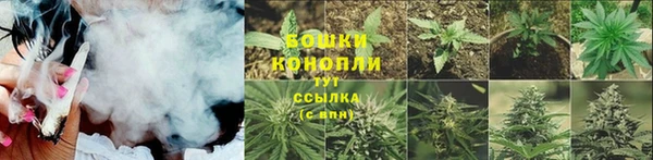 ALPHA PVP Дмитриев