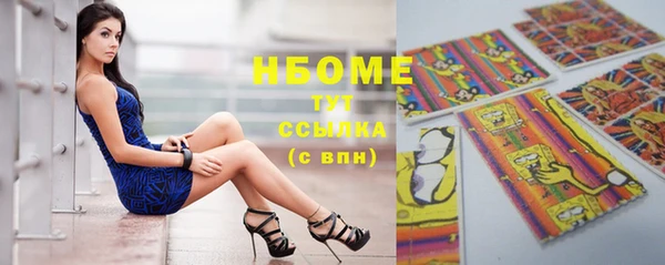 индика Дмитровск
