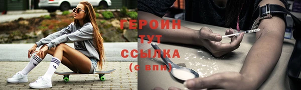 индика Дмитровск