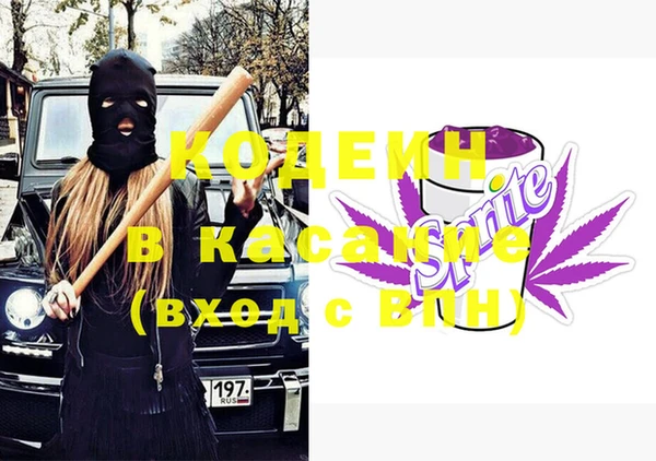 индика Дмитровск