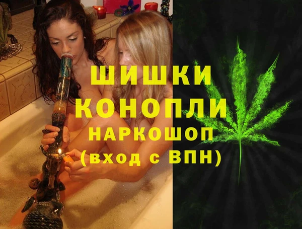 индика Дмитровск