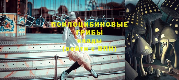 индика Дмитровск