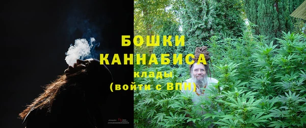 индика Дмитровск