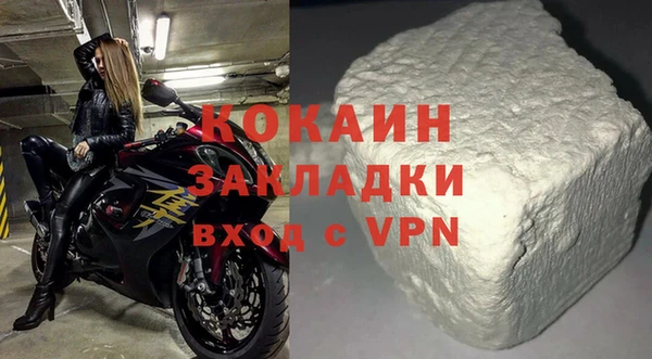 индика Дмитровск