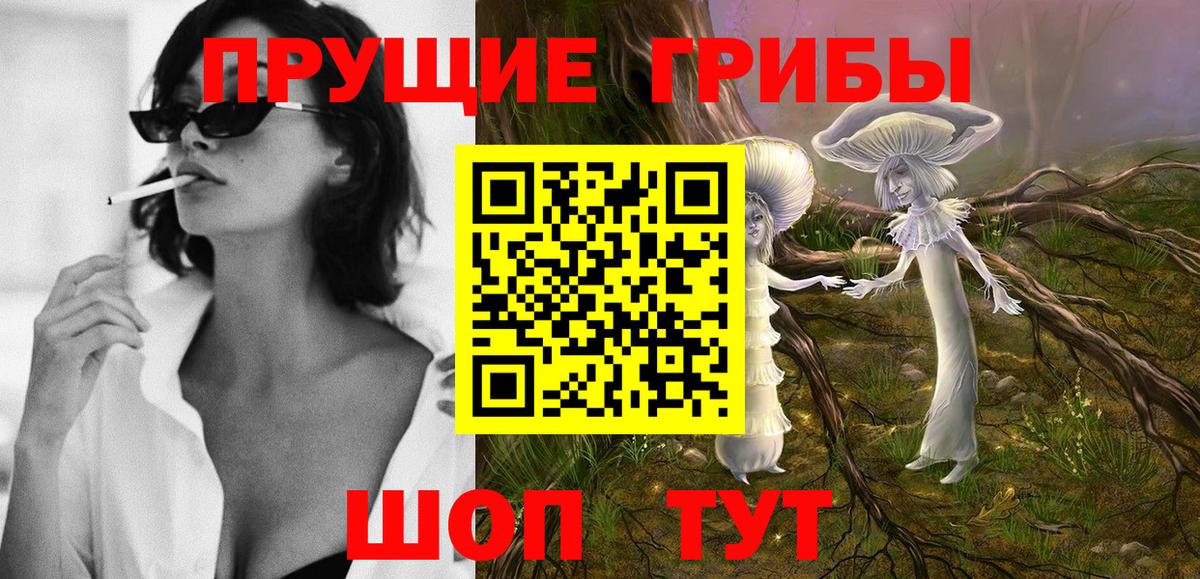 Галлюциногенные грибы прущие грибы Черняховск